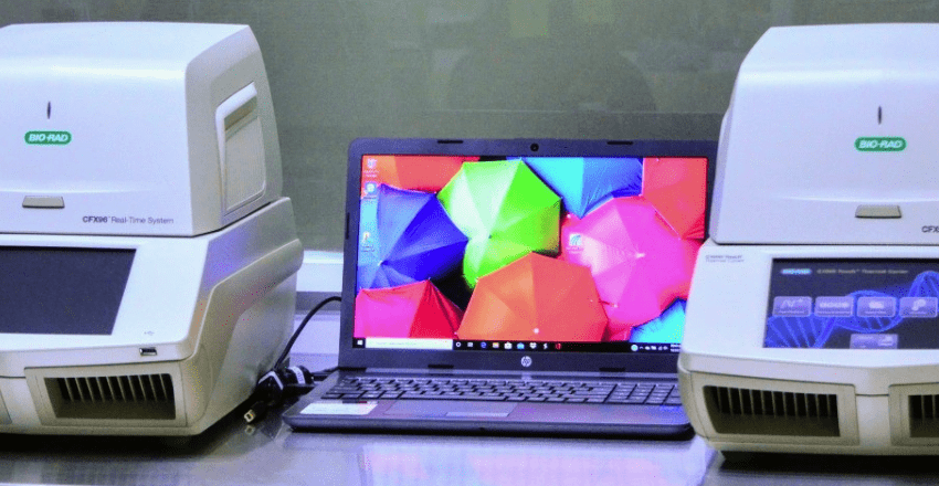 Registra Tamaulipas 6 nuevos casos positivos a COVID-19, suman  96