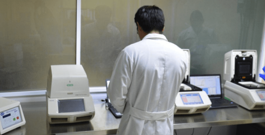 Registra Tamaulipas 17 nuevos casos positivos a COVID-19, la cifra oficial es de 533