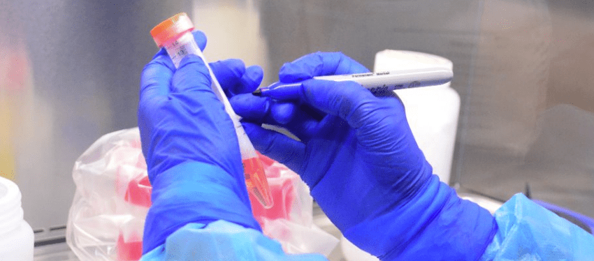 Confirma Salud 22 nuevos casos de Covid-19 en Tamaulipas, suman 635 positivos