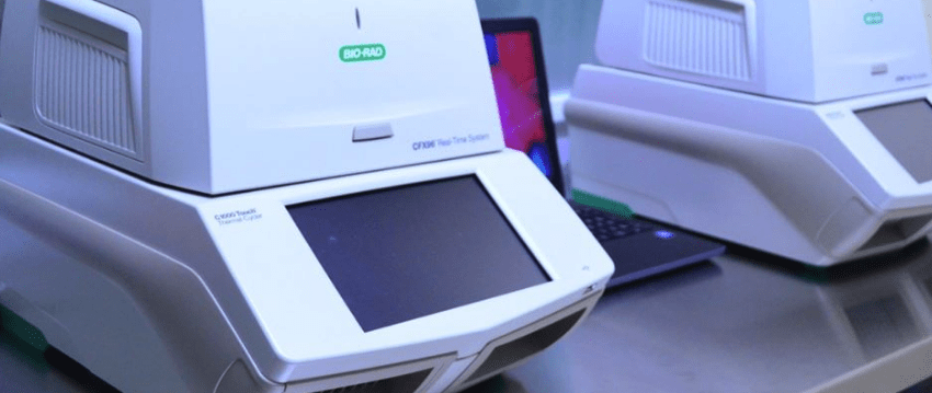 Exhorta Salud a mantener el confinamiento social y confirma 12 nuevo casos de COVID-19, suman 840 en Tamaulipas