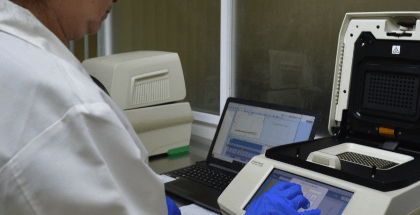 Registra Tamaulipas 36 nuevos casos de COVID-19, exhorta Salud a extremar medidas preventivas