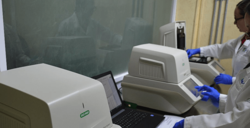 Registra Tamaulipas 19 casos positivos a COVID-19 y 4 nuevas defunciones