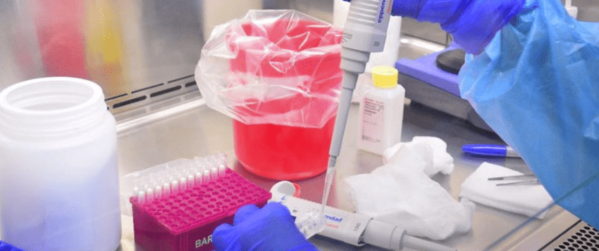 Diagnostica Salud 51 nuevos casos de COVID-19 en Tamaulipas