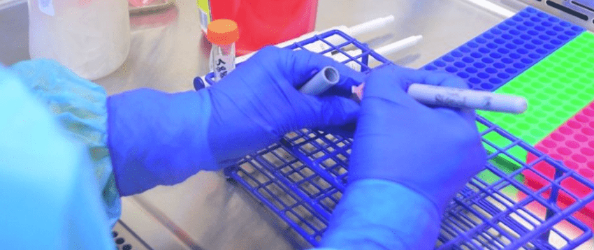 Reporta Salud 43 casos positivos a COVID-19, suman 2,827 en Tamaulipas