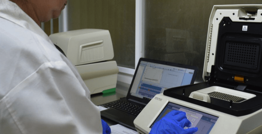 COVID-19 en Tamaulipas, confirman 113 nuevos casos y 12 defunciones