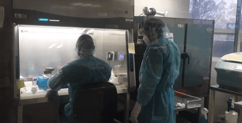 Casos de COVID-19 en Tamaulipas continúan en ascenso, confirma SST 135 nuevos positivos