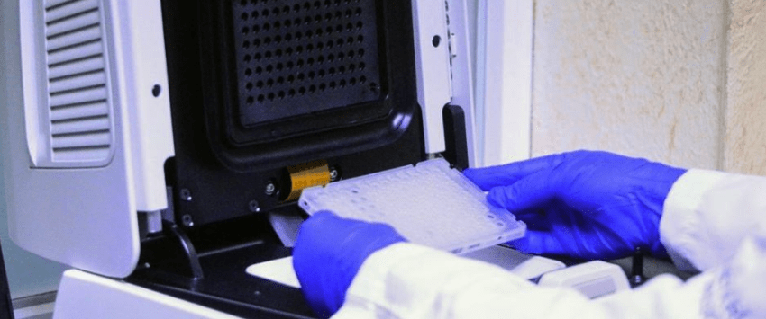 Confirma Tamaulipas 313 casos nuevos de COVID-19, la cifra oficial asciende a 10,530