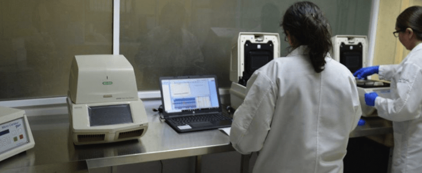 COVID-19: 332 nuevos casos positivos en Tamaulipas, suman 17644 en total