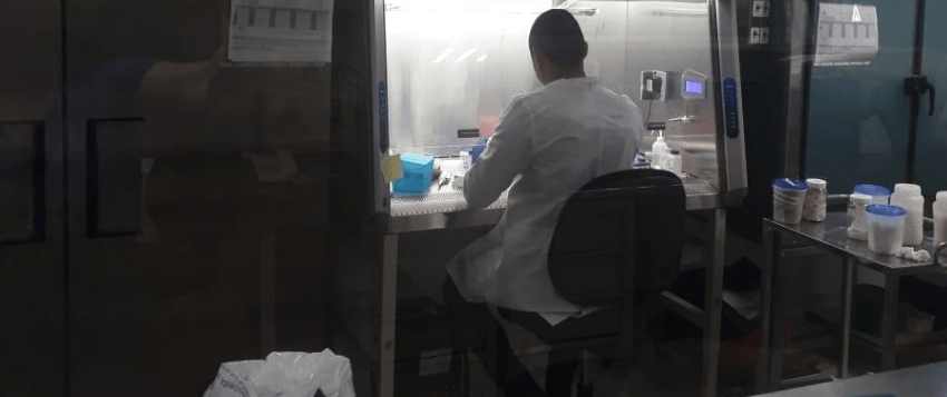 Reporta SST 96 casos positivos a COVID19 de la segunda parte de la jornada del miércoles