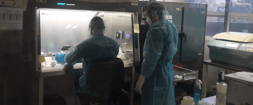 COVID-19 en Tamaulipas suma 302 nuevos casos, pide SST no relajar medidas preventivas