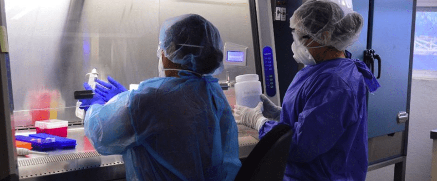 Avanzar a la nueva realidad requiere la participación de todos afirma SST