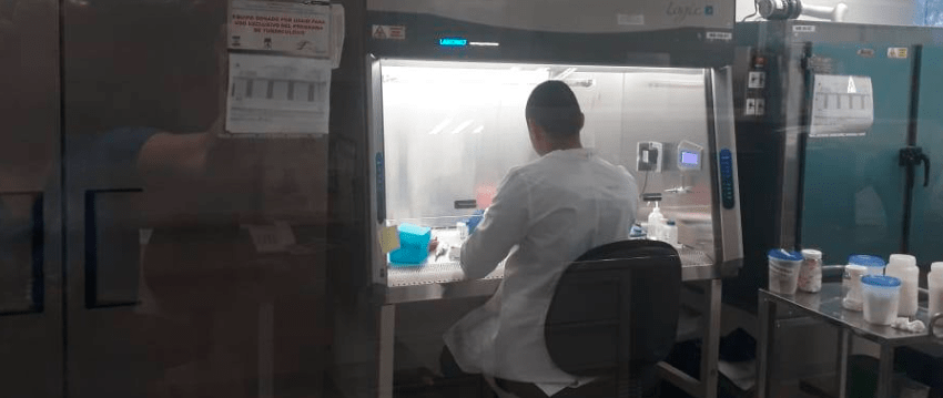 Fases de la nueva realidad requieren la participación de todos, extremen precauciones: SST