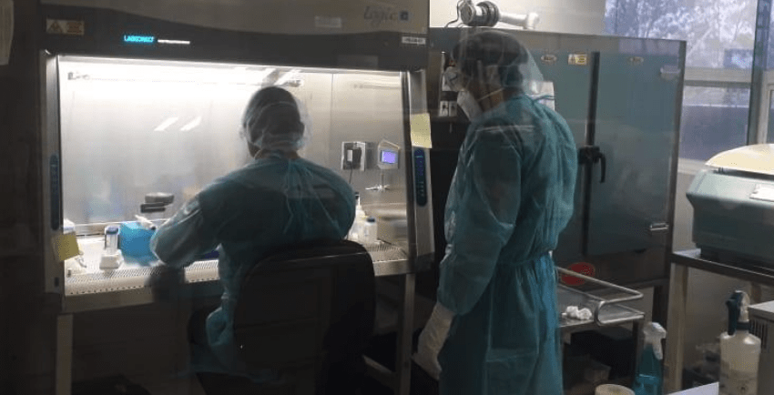 COVID-19 EN TAMAULIPAS SUMA 43 NUEVOS CASOS, EXHORTA SST A EXTREMAR PREVENCIÓN