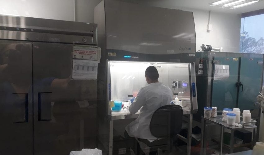 REGISTRA TAMAULIPAS 169 NUEVOS CONTAGIOS, URGE SST EXTREMAR MEDIDAS DE PREVENCIÓN