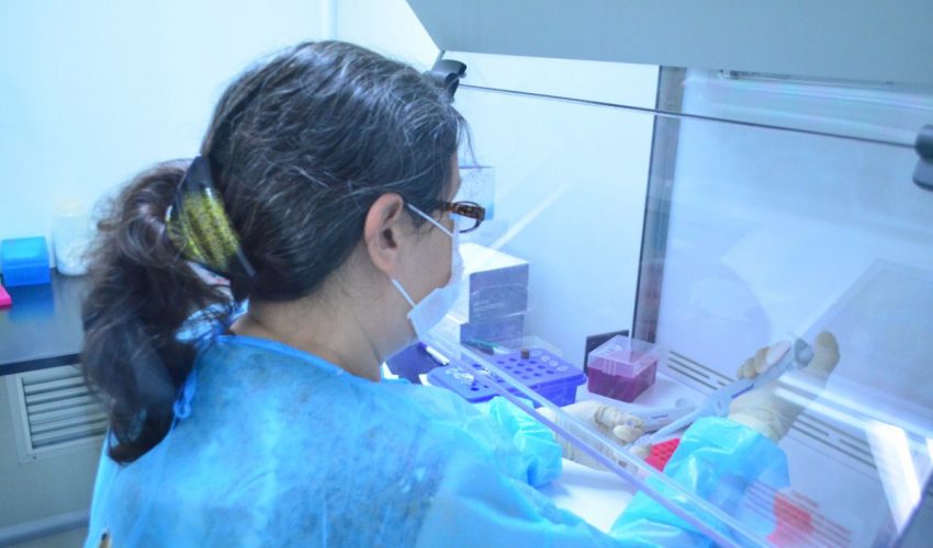 USO DEL CUBREBOCAS, SANA DISTANCIA Y LAVADO DE MANOS PUEDEN SALVAR VIDAS, PIDE SALUD PRACTICARLAS