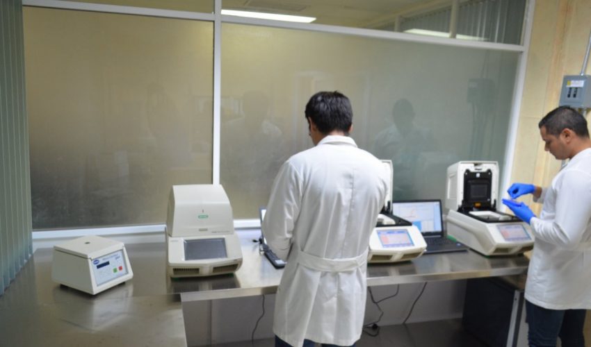 CON 195 NUEVOS CASOS DE COVID-19, TAMAULIPAS LLAMA A NO RELAJAR LAS MEDIDAS DE SEGURIDAD SANITARIA